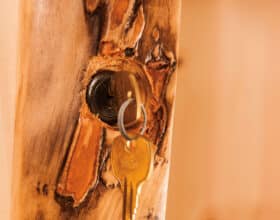Rustic Log Gun Cabinet [Lock and Key]